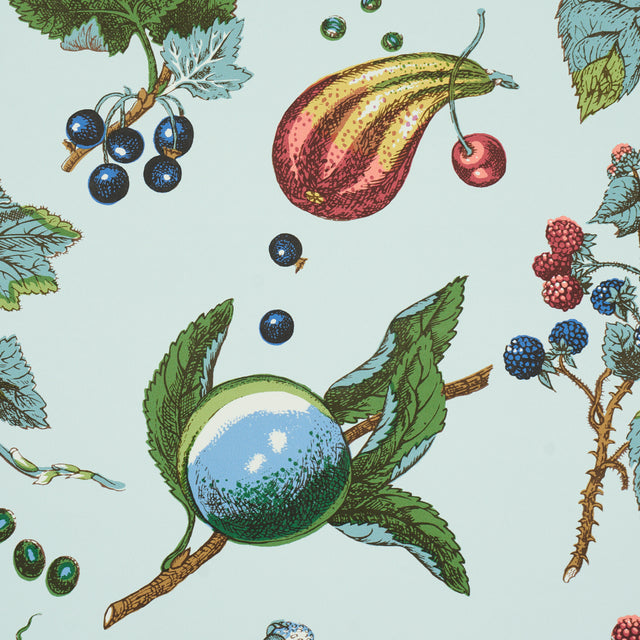 Berry Grove Sky Botanical Fruit Wallpaper – Schumacher 5015651