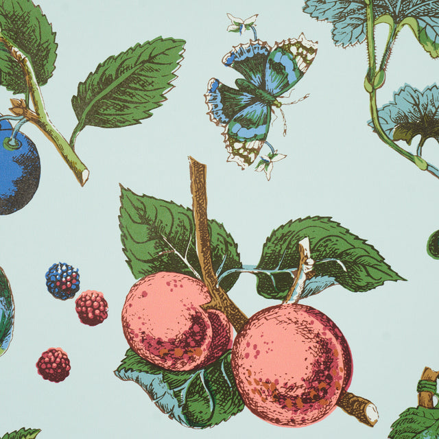 Berry Grove Sky Botanical Fruit Wallpaper – Schumacher 5015651
