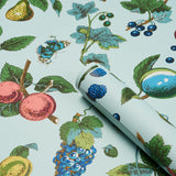 Berry Grove Sky Botanical Fruit Wallpaper – Schumacher 5015651
