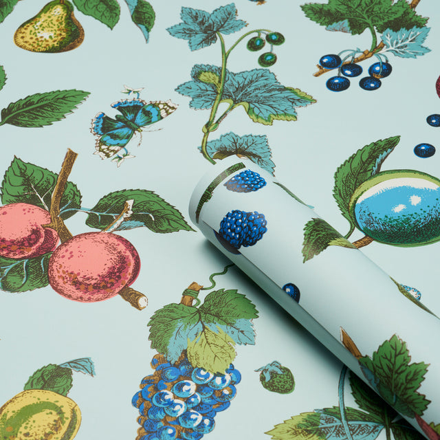 Berry Grove Sky Botanical Fruit Wallpaper – Schumacher 5015651
