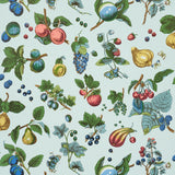 Berry Grove wallpaper in Sky by Schumacher features a vibrant botanical fruit and berry pattern on a light blue background.