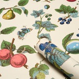 Berry Grove Ivory Botanical Fruit Wallpaper – Schumacher 5015652