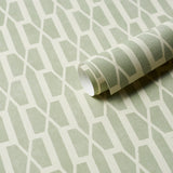 Belvedere Celadon Trellis Wallpaper by Schumacher – Veere Grenney 5015911
