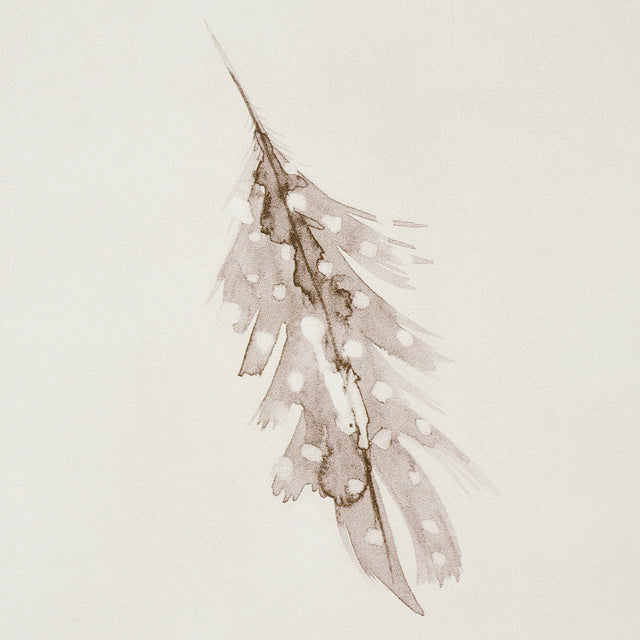 Woodland Feathers Pebble by Schumacher Elegant Hand-Painted Feather Wallpaper – Schumacher 5016060