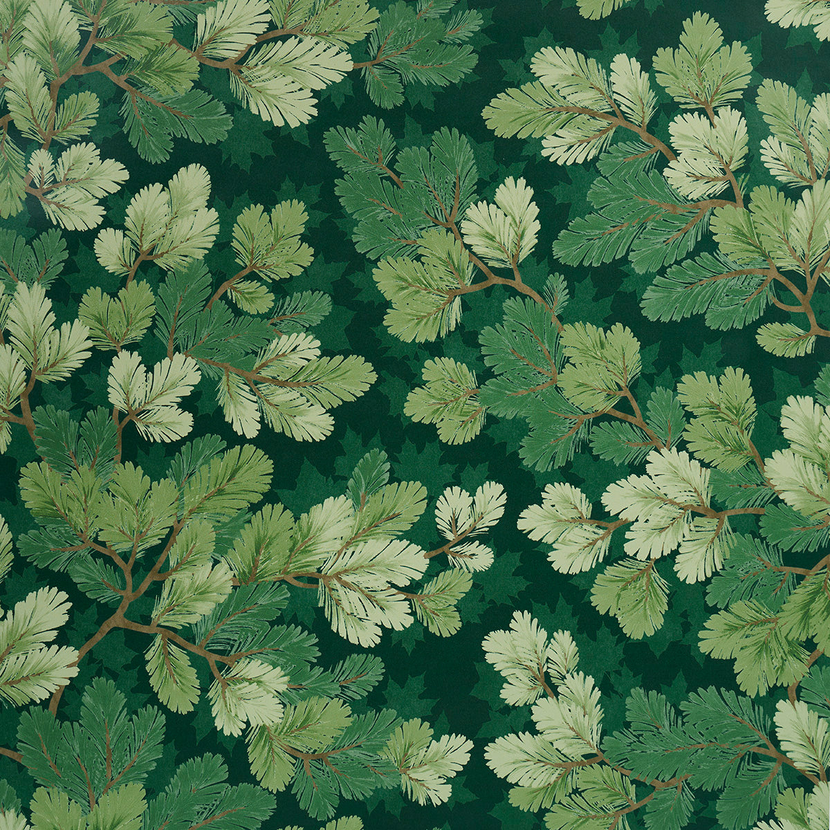Covey Hedge wallpaper in Forest by Schumacher, featuring stylized green foliage and pine boughs on a dark background.