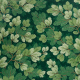 Covey Hedge wallpaper in Forest by Schumacher, featuring stylized green foliage and pine boughs on a dark background.