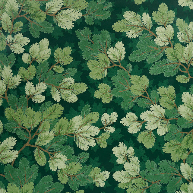 Covey Hedge wallpaper in Forest by Schumacher, featuring stylized green foliage and pine boughs on a dark background.