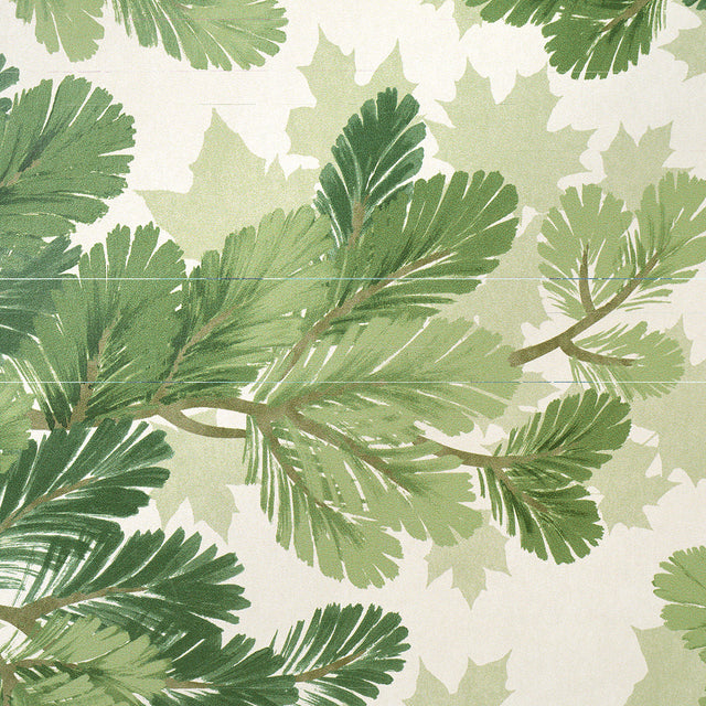 Covey Hedge Sage Green Botanical Wallpaper – Schumacher 5016072