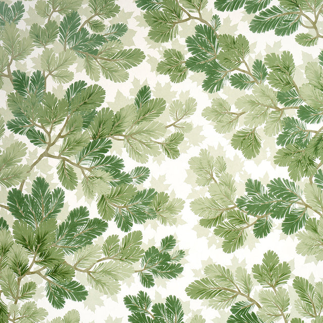 Covey Hedge wallpaper in sage green, featuring stylized foliage and maple leaves, by Schumacher.