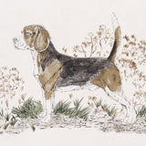 Chaser's Legacy Bark by Schumacher Framed Dog Portraits Wallpaper – Schumacher 5016081