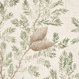 Pinewood Spruce by Schumacher Elegant Botanical Wallpaper – Schumacher 5016090