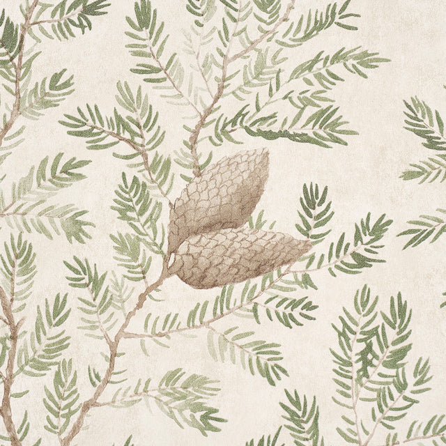 Pinewood Spruce by Schumacher Elegant Botanical Wallpaper – Schumacher 5016090