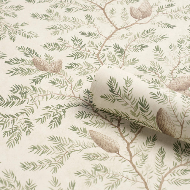 Pinewood Spruce by Schumacher Elegant Botanical Wallpaper – Schumacher 5016090