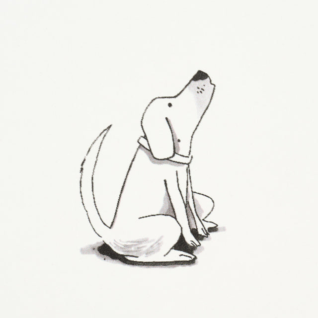 GOOD DOGS EVERYWHERE Black & White by Schumacher – The New Yorker Collection Dog Wallpaper – 5016130