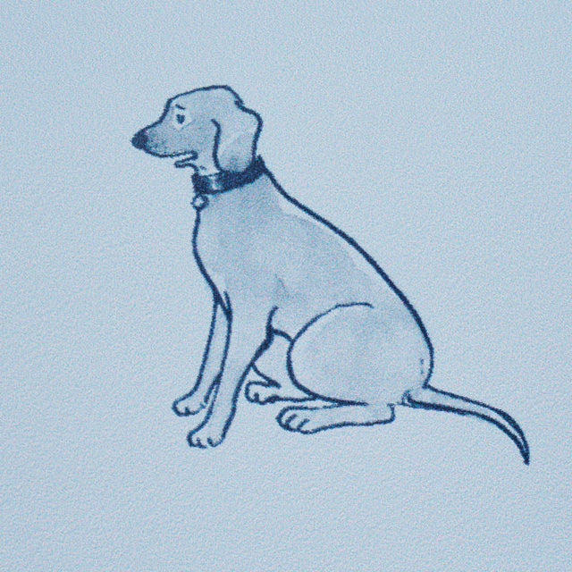 Good Dogs Everywhere Sky & Navy Blue by Schumacher The New Yorker Collection Wallpaper – Schumacher 5016132