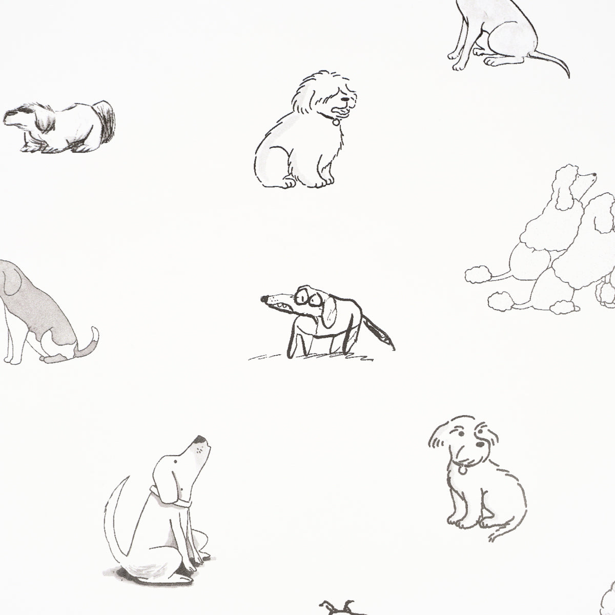 Good Dogs Everywhere Peel-and-Stick Wallpaper Black & White The New Yorker Collection – Schumacher 5016300