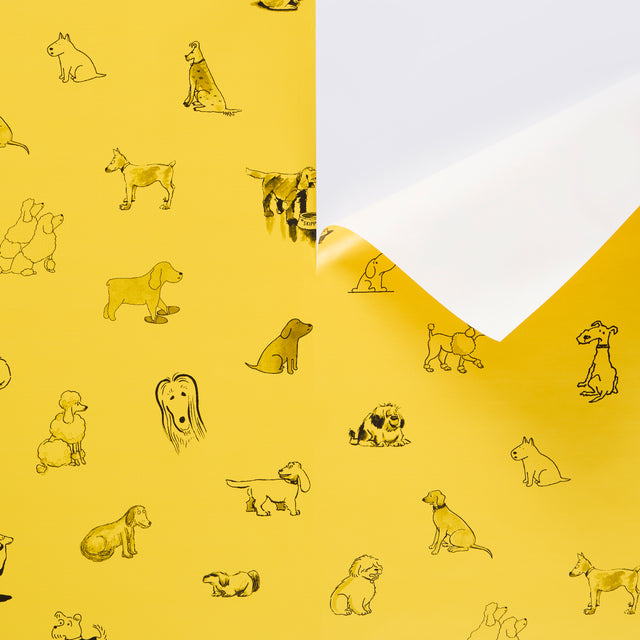 Good Dogs Everywhere Taxi-Cab Yellow by Schumacher The New Yorker Peel-and-Stick Wallpaper – 5016301