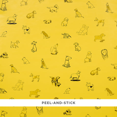 Good Dogs Everywhere peel-and-stick wallpaper in Taxi-Cab Yellow featuring cartoon dog illustrations from The New Yorker collection by Schumacher.