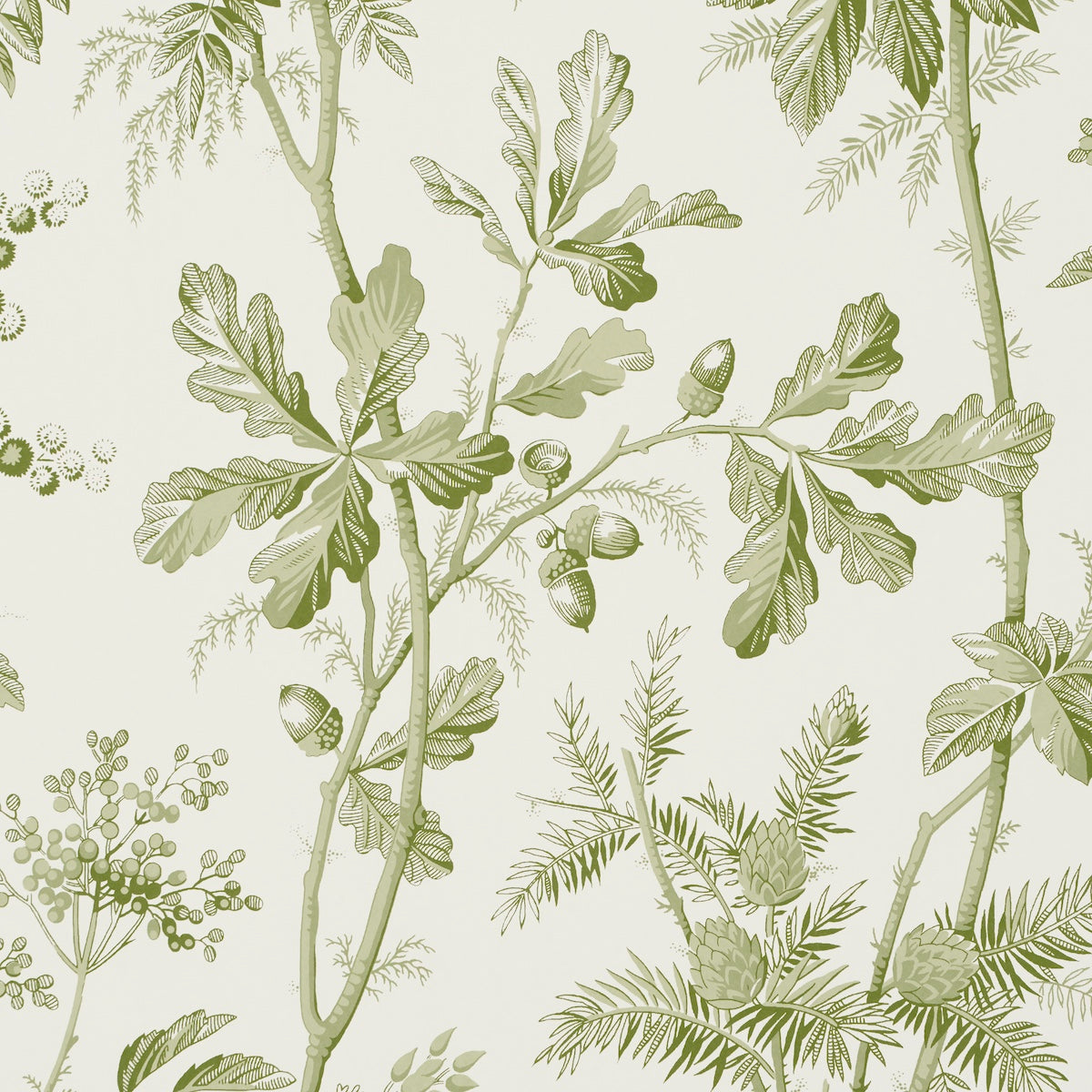 Brantwood Vine Leaf by Schumacher Botanical Wallpaper – Schumacher 5016350