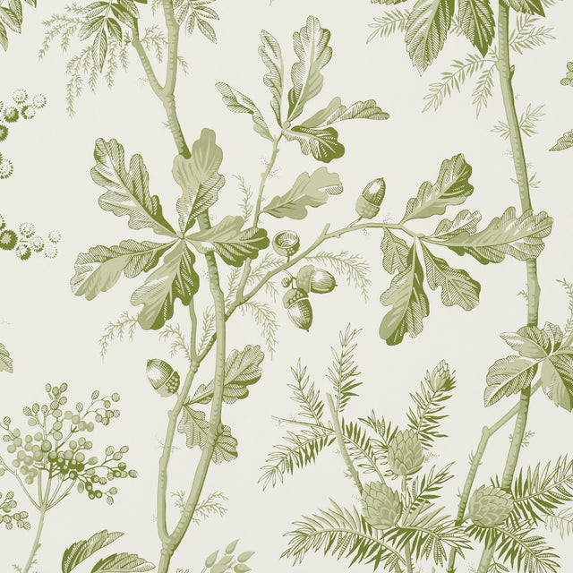 Brantwood Vine Leaf by Schumacher Botanical Wallpaper – Schumacher 5016350