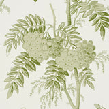 Brantwood Vine Leaf by Schumacher Botanical Wallpaper – Schumacher 5016350