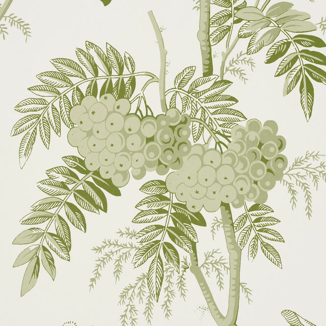 Brantwood Vine Leaf by Schumacher Botanical Wallpaper – Schumacher 5016350