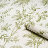 Brantwood Vine Leaf by Schumacher Botanical Wallpaper – Schumacher 5016350