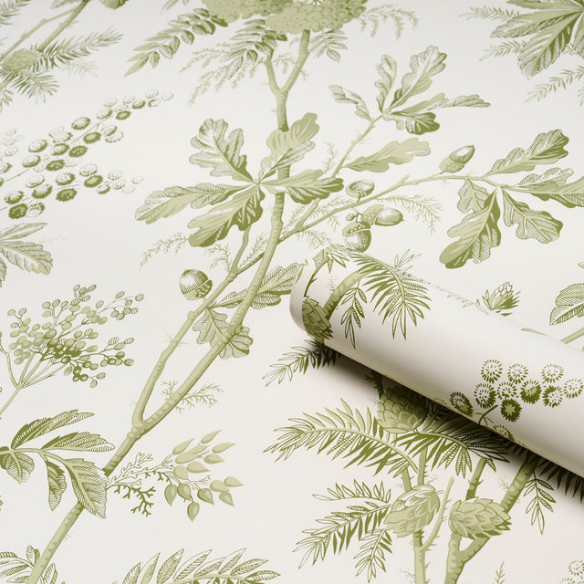 Brantwood Vine Leaf by Schumacher Botanical Wallpaper – Schumacher 5016350