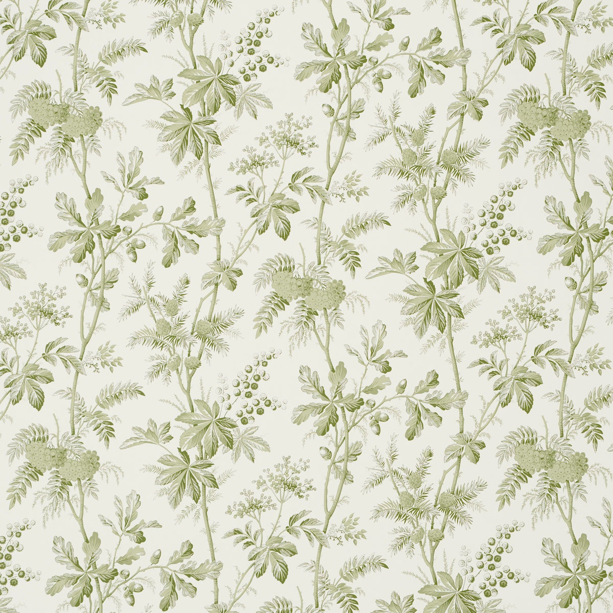 Brantwood Vine Leaf wallpaper by Schumacher featuring leafy branches, acorns, pine cones, and berries in a botanical illustration style.