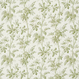 Brantwood Vine Leaf wallpaper by Schumacher featuring leafy branches, acorns, pine cones, and berries in a botanical illustration style.