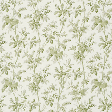 Brantwood Vine Leaf wallpaper by Schumacher featuring leafy branches, acorns, pine cones, and berries in a botanical illustration style.