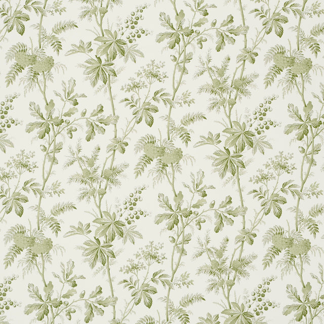 Brantwood Vine Leaf wallpaper by Schumacher featuring leafy branches, acorns, pine cones, and berries in a botanical illustration style.