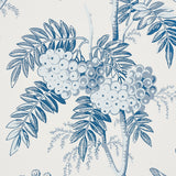 Brantwood Vine Porcelain by Schumacher Botanical Wallpaper – Schumacher 5016351