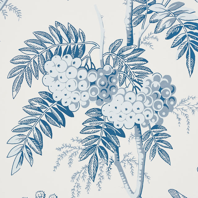 Brantwood Vine Porcelain by Schumacher Botanical Wallpaper – Schumacher 5016351