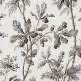 Brantwood Vine Graphite by Schumacher Botanical Wallpaper – Schumacher 5016352