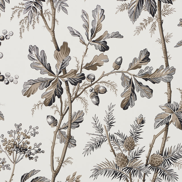 Brantwood Vine Graphite by Schumacher Botanical Wallpaper – Schumacher 5016352