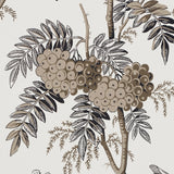 Brantwood Vine Graphite by Schumacher Botanical Wallpaper – Schumacher 5016352