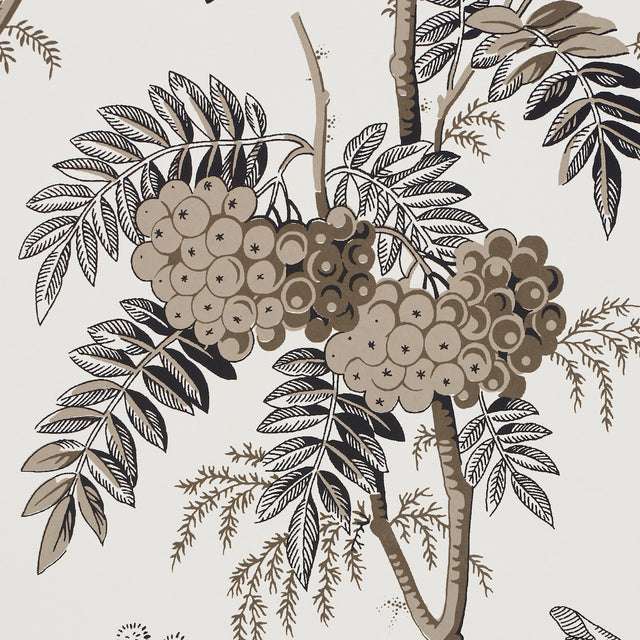 Brantwood Vine Graphite by Schumacher Botanical Wallpaper – Schumacher 5016352