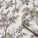 Brantwood Vine Graphite by Schumacher Botanical Wallpaper – Schumacher 5016352