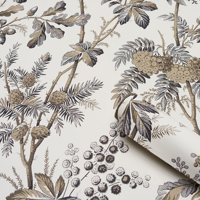 Brantwood Vine Graphite by Schumacher Botanical Wallpaper – Schumacher 5016352