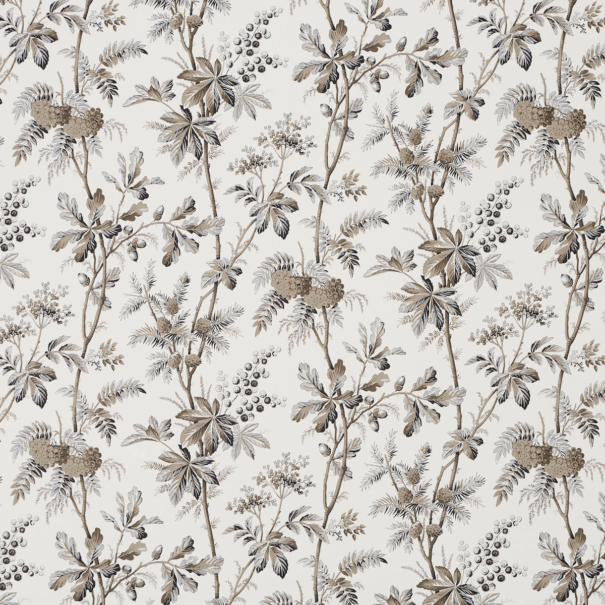 Brantwood Vine wallpaper in graphite, featuring a detailed botanical pattern of leafy branches, acorns, pine cones, and berries on a matte ground.