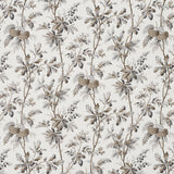 Brantwood Vine wallpaper in graphite, featuring a detailed botanical pattern of leafy branches, acorns, pine cones, and berries on a matte ground.