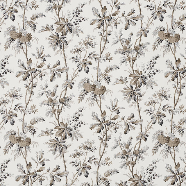 Brantwood Vine wallpaper in graphite, featuring a detailed botanical pattern of leafy branches, acorns, pine cones, and berries on a matte ground.