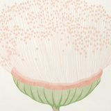 Celinda Blush Botanical Floral Wallpaper by Schumacher – 5016360