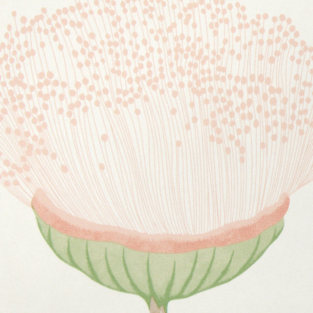 Celinda Blush Botanical Floral Wallpaper by Schumacher – 5016360