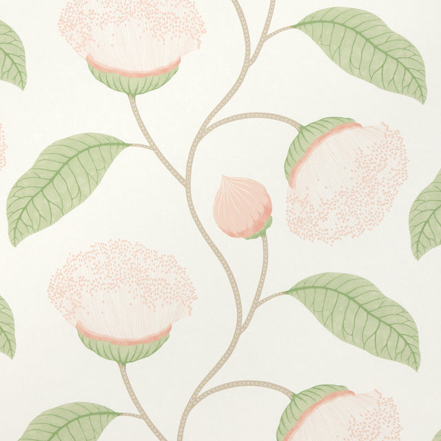 Celinda Blush stylized floral wallpaper with large-scale botanical pattern by Schumacher, shown in a bedroom setting.