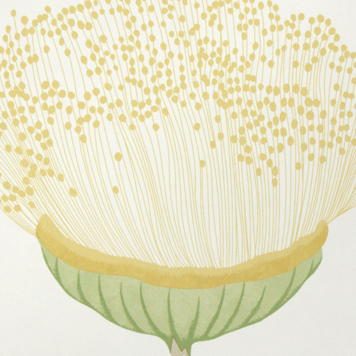 Celinda Citrus by Schumacher Large-Scale Floral Wallpaper – Schumacher 5016362
