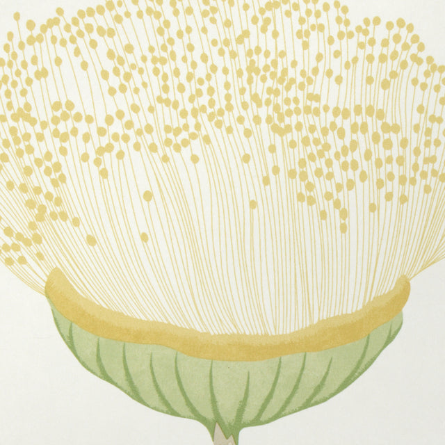 Celinda Citrus by Schumacher Large-Scale Floral Wallpaper – Schumacher 5016362