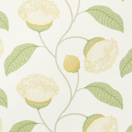 Celinda Citrus by Schumacher - Large-scale stylized floral wallpaper in yellow and green botanical design