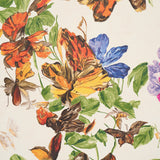 Pyne Butterfly Monarch Orange by Schumacher Botanical Butterfly Wallpaper – Schumacher 5016380